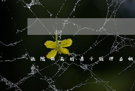 法院拍卖的房子抵押后租赁
