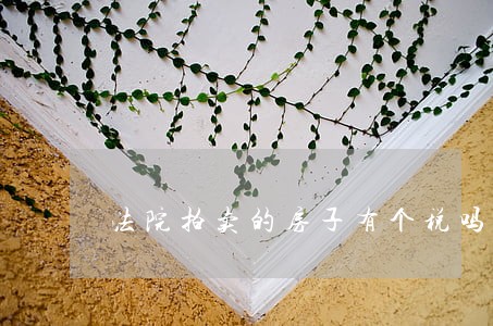 法院拍卖的房子有个税吗 法院拍卖的房子有个税吗