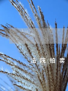 法院拍卖的房子用来出租 法院拍卖的房子用来出租