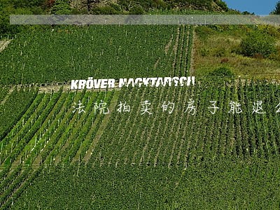 法院拍卖的房子能退么 法院拍卖的房子能退么