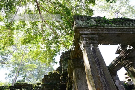 法院拍卖的房子被租赁如何解除