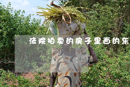 法院拍卖的房子里面的东西 法院拍卖的房子里面的东西