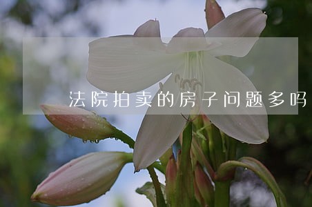 法院拍卖的房子问题多吗 法院拍卖的房子问题多吗