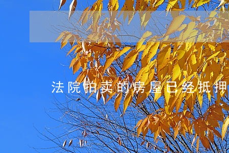 法院拍卖的房屋已经抵押 法院拍卖的房屋已经抵押