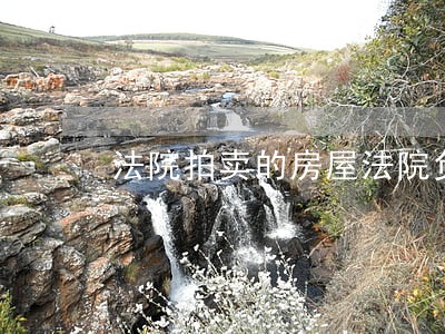 法院拍卖的房屋法院负责腾空 法院拍卖的房屋法院负责腾空