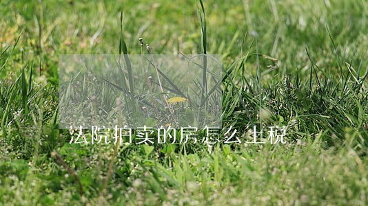 法院拍卖的房怎么上税 法院拍卖的房怎么上税