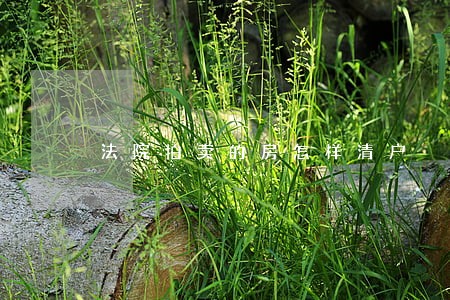 法院拍卖的房怎样清户 法院拍卖的房怎样清户