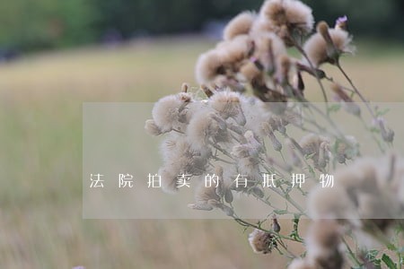 法院拍卖的有抵押物 法院拍卖的有抵押物