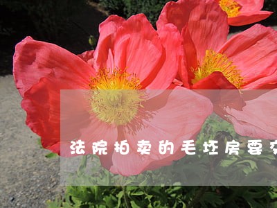 法院拍卖的毛坯房要交多少钱 法院拍卖的毛坯房要交多少钱