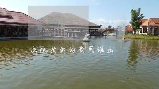 法院拍卖的费用谁出 法院拍卖的费用谁出