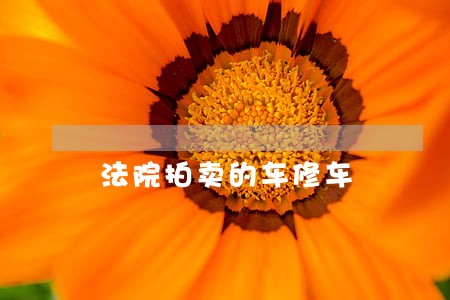 法院拍卖的车修车 法院拍卖的车修车
