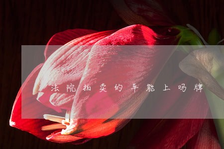 法院拍卖的车能上吗牌 法院拍卖的车能上吗牌
