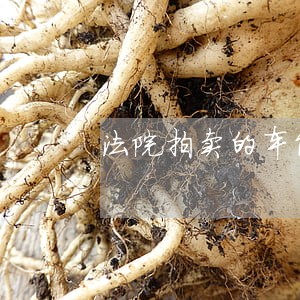 法院拍卖的车能换牌照 法院拍卖的车能换牌照
