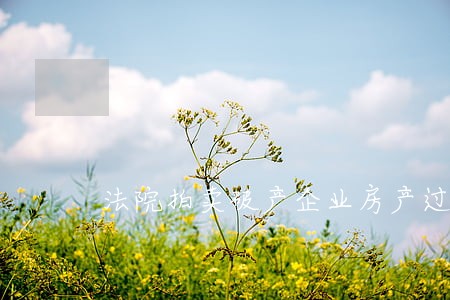 法院拍卖破产企业房产过户
