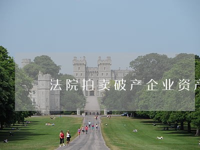 法院拍卖破产企业资产在哪里公布 法院拍卖破产企业资产在哪里公布