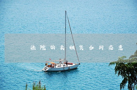 法院拍卖租赁合同恶意