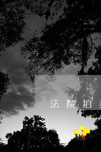 法院拍卖竞拍人 法院拍卖竞拍人