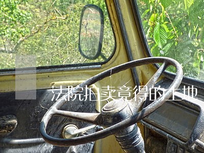 法院拍卖竟得的土地 法院拍卖竟得的土地