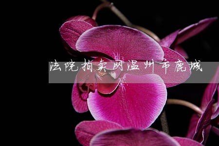 法院拍卖网温州市鹿城 法院拍卖网温州市鹿城