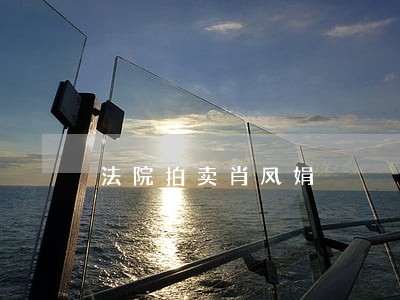 法院拍卖肖凤娟 法院拍卖肖凤娟