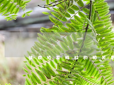 法院拍卖股权的相关费用 法院拍卖股权的相关费用