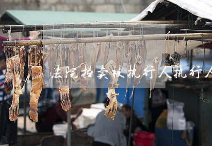法院拍卖被执行人执行人 法院拍卖被执行人执行人