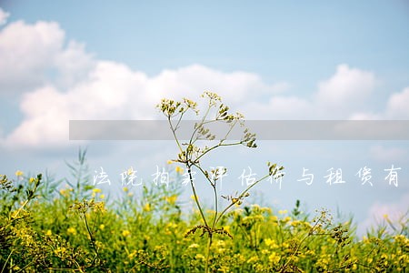 法院拍卖评估价与租赁有关系 法院拍卖评估价与租赁有关系