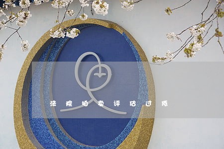 法院拍卖评估过低 法院拍卖评估过低