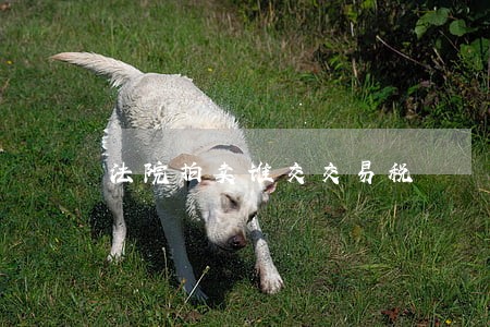 法院拍卖谁交交易税 法院拍卖谁交交易税