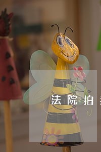 法院拍卖贷款房子流程 法院拍卖贷款房子流程