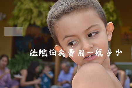 法院拍卖费用一般多少 法院拍卖费用一般多少