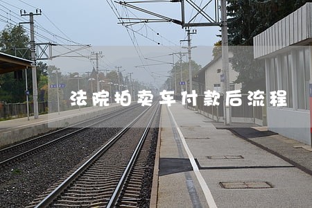 法院拍卖车付款后流程