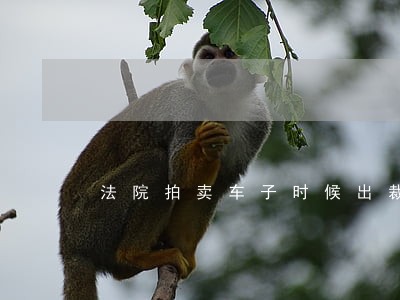 法院拍卖车子时候出裁定书 法院拍卖车子时候出裁定书