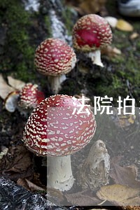 法院拍卖车年检过期能上路 法院拍卖车年检过期能上路