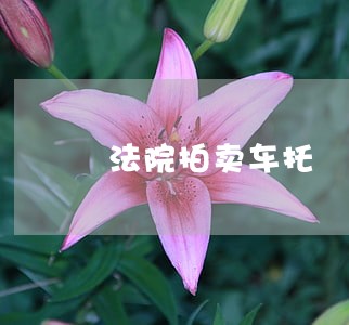 法院拍卖车托 法院拍卖车托