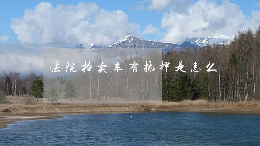 法院拍卖车有抵押是怎么 法院拍卖车有抵押是怎么