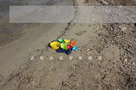 法院拍卖车有租赁