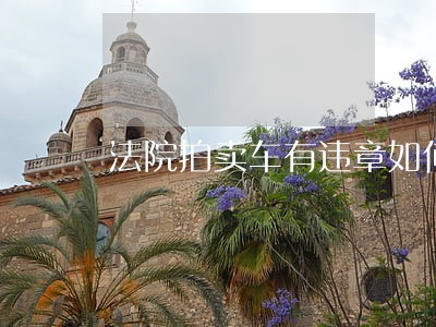 法院拍卖车有违章如何处理 法院拍卖车有违章如何处理