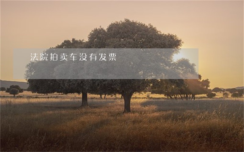 法院拍卖车没有发票 法院拍卖车没有发票