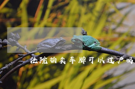 法院拍卖车牌可以过户吗