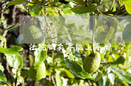 法院拍卖车能上车牌 法院拍卖车能上车牌