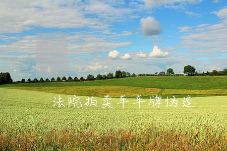 法院拍卖车车牌伪造 法院拍卖车车牌伪造