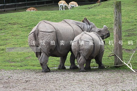 法院拍卖车辆发动机号码被破坏 法院拍卖车辆发动机号码被破坏