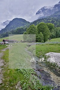 法院拍卖车辆有违章 法院拍卖车辆有违章