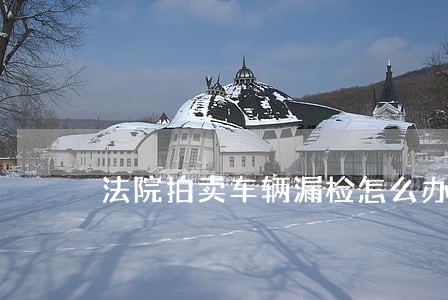 法院拍卖车辆漏检怎么办 法院拍卖车辆漏检怎么办