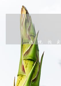 法院拍卖车辆要交什么费用吗 法院拍卖车辆要交什么费用吗
