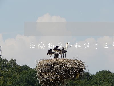 法院拍卖车辆过了三年强制报废 法院拍卖车辆过了三年强制报废
