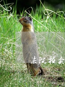 法院拍卖车违章扣分 法院拍卖车违章扣分