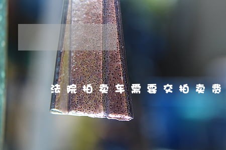 法院拍卖车需要交拍卖费吗 法院拍卖车需要交拍卖费吗