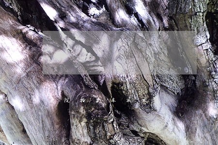 法院拍卖车风水 法院拍卖车风水